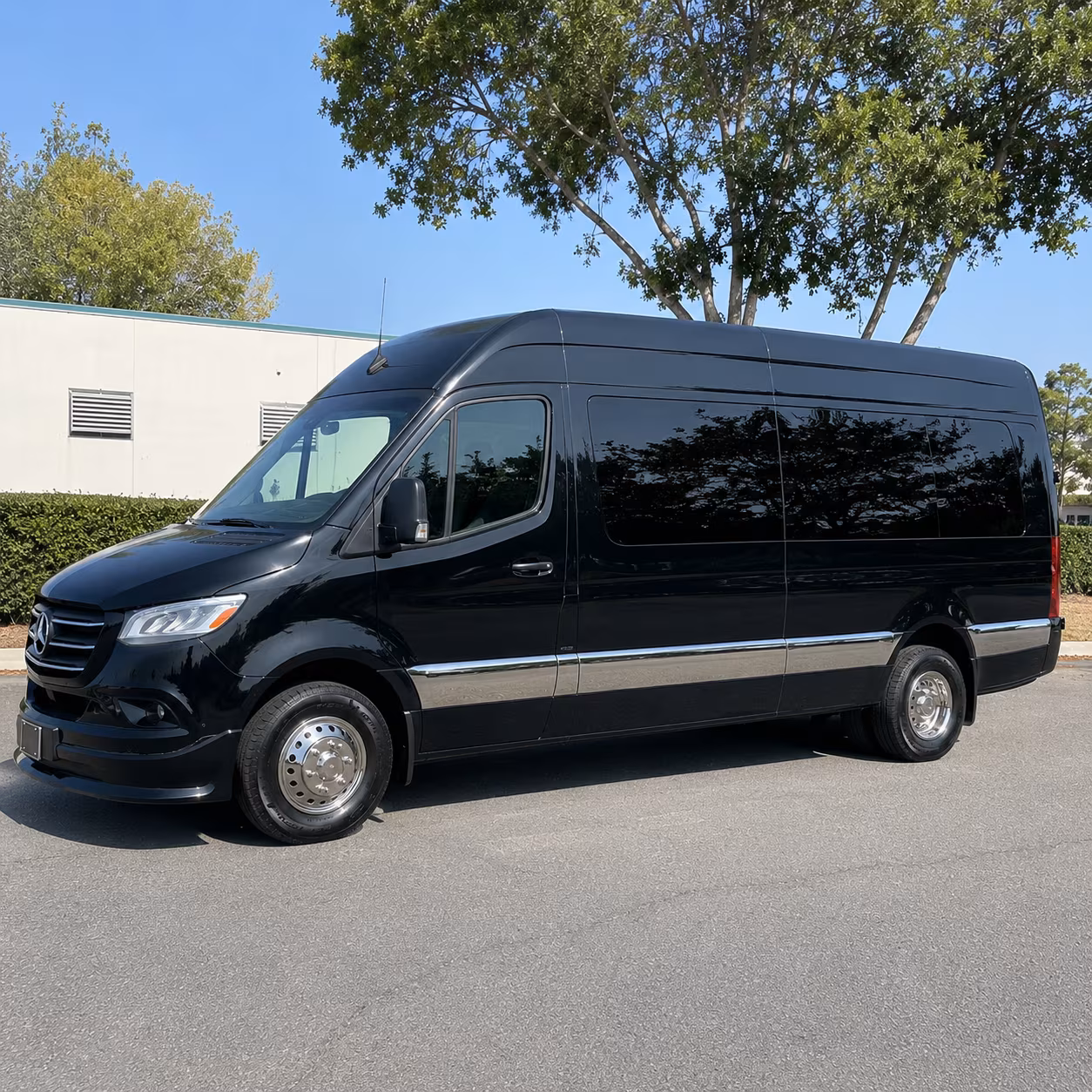 Carlsbad Wedding Transportation & Shuttle Service