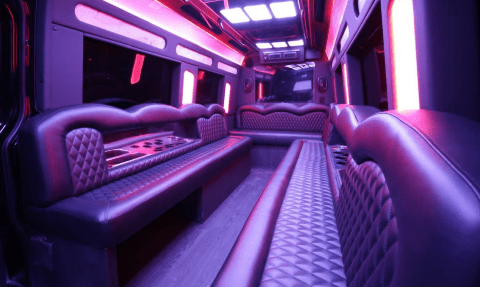 Mission Viejo 14 Passenger Sprinter Bus Interior